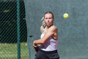 Bild 171 - Klippeldon